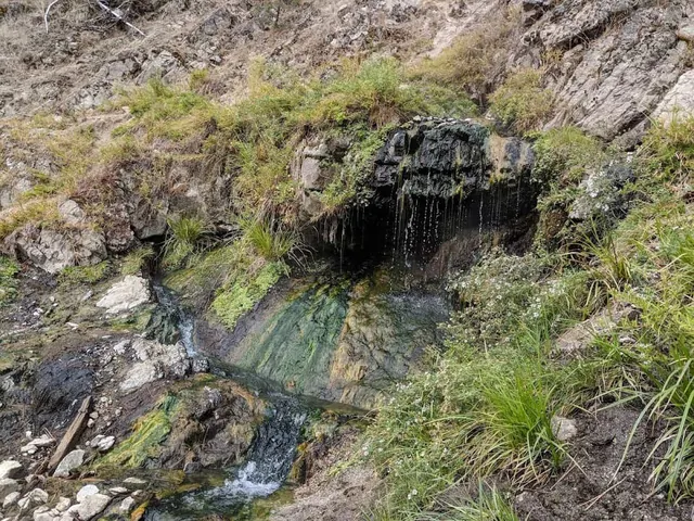 Coyote Hot Spring