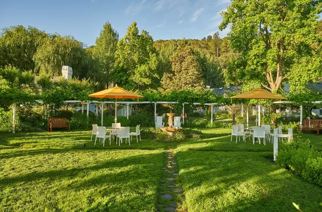 Green lawn area with white tables, yellow umbrellas, wooden benches and lush trees in the background on a sunny day.