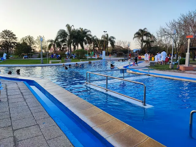 Outdoor rectangular blue hot spring pool with palm trees and people enjoying the water at Termas Villa Elisa in Argentina.