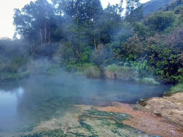 Clear water pool with steam and lush green trees behind at Welcome Flat Hot Pools near Fox Glacier in New Zealand.