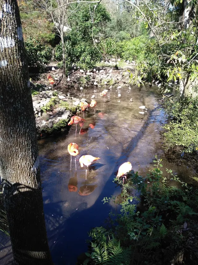 Homosassa Springs, Florida.