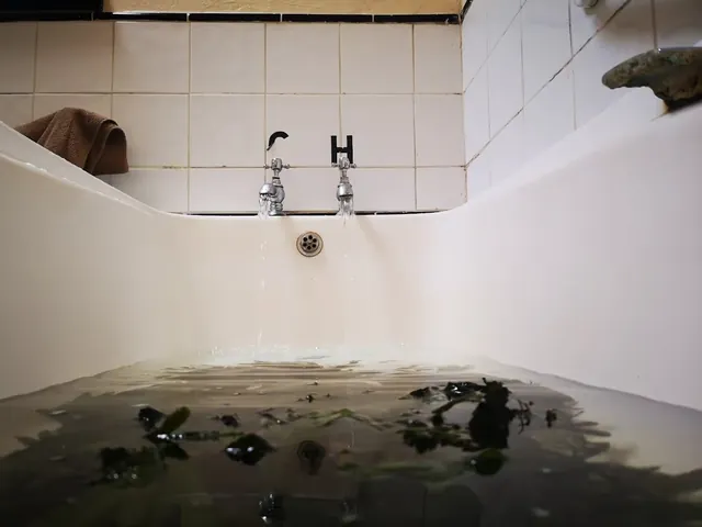 Collins's Seaweed Baths, Ireland.