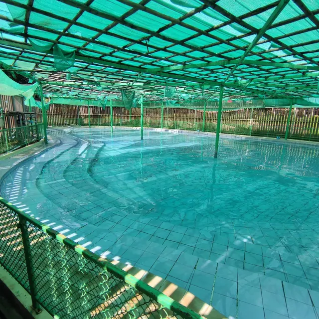 Pha Soet Hot Springs, Thailand.
