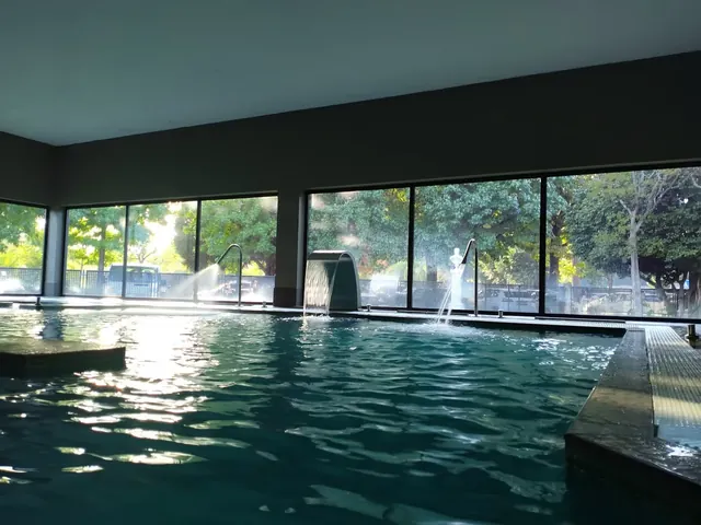 Indoor soaking pool with large windows showing trees outside, water jets spraying from spouts into the mineral pool at Termas de Vizela.