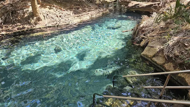 Clear hot spring pool at Bitter Springs with metal handrails and stone steps leading into the water in Northern Territory, Australia.
