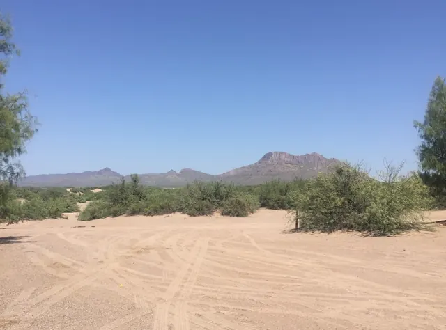 Desert area with shrubs and dirt paths under a clear blue sky at Hot Well Dunes Recreation Area near Safford, Arizona.