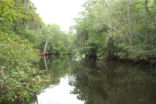 Fanning Springs FL 2014 - 008