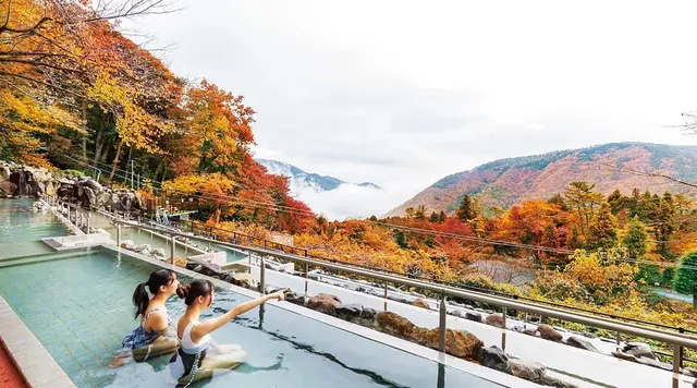Hakone Kowakien Yunessun