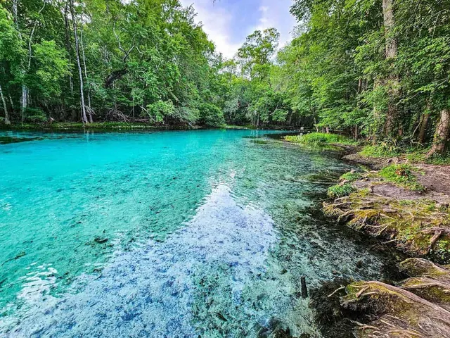 Gilchrist Blue Springs