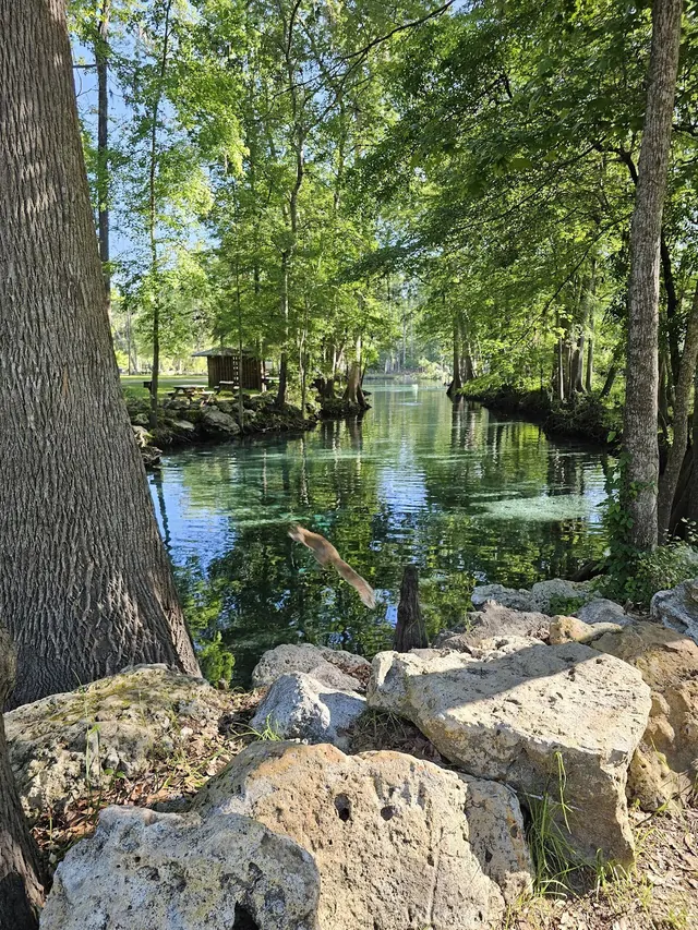Ginnie Springs, Florida.
