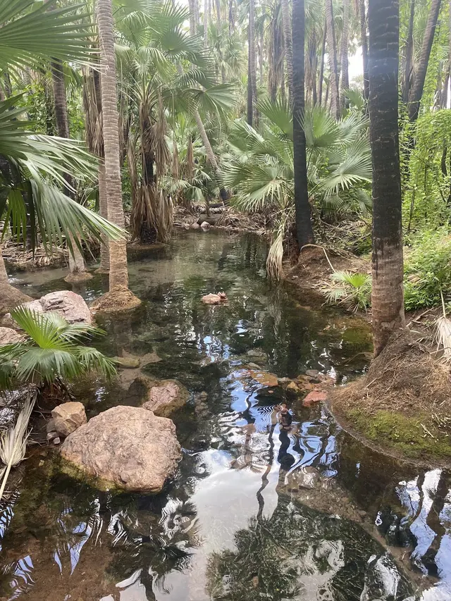 Zebedee Springs