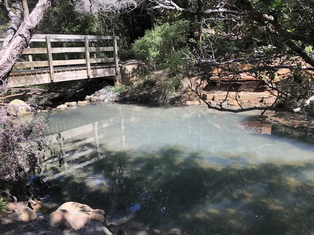 Clear mineral pool at Kaitoke Hot Springs under a wooden bridge surrounded by native forest near Great Barrier Island New Zealand.