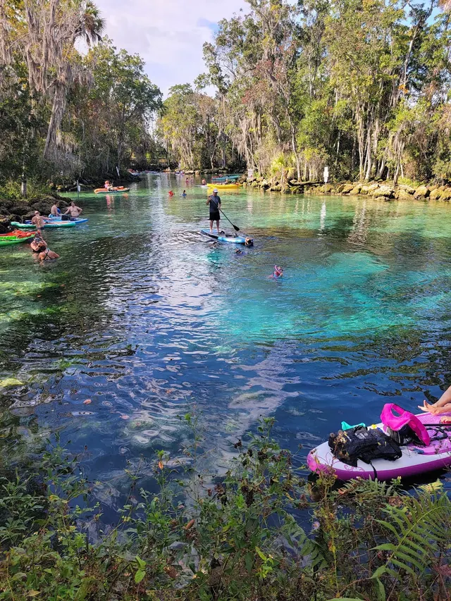 Three Sisters Springs, Florida.
