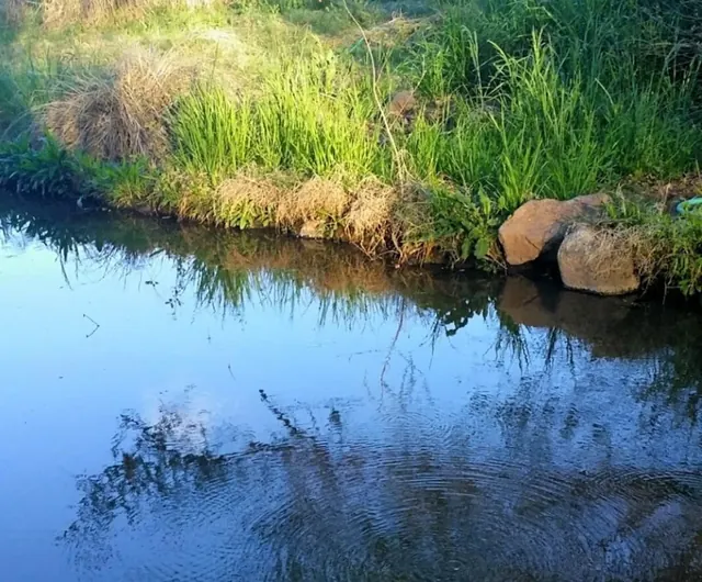 Hookers Hot Springs