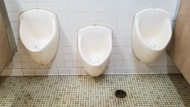 Waterless Urinals - Wekiwa Springs State Park
