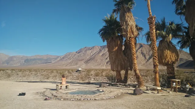 Palm Spring (Saline Valley)