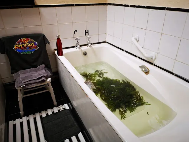 Collins's Seaweed Baths