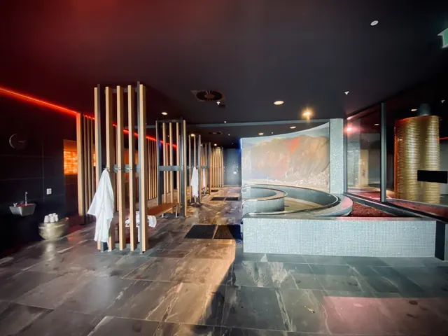 Small rectangular indoor spa pool at Wai Ariki with a metal handrail, wooden slat wall, and hanging greenery in Rotorua New Zealand.