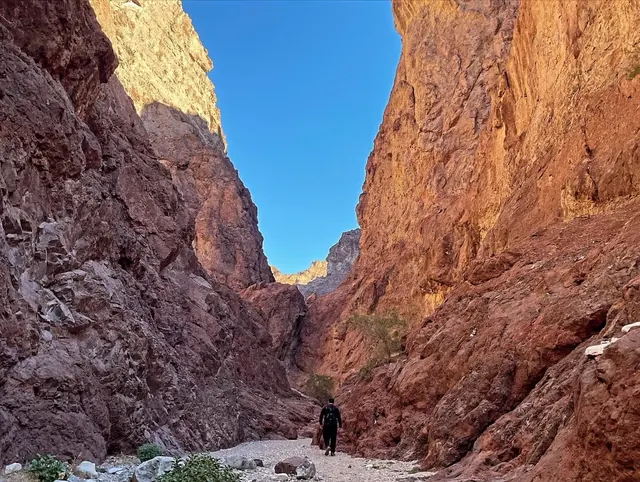 A lone hiker walks on a rocky canyon trail with steep orange walls and a blue sky overhead near Willow Beach, Arizona.