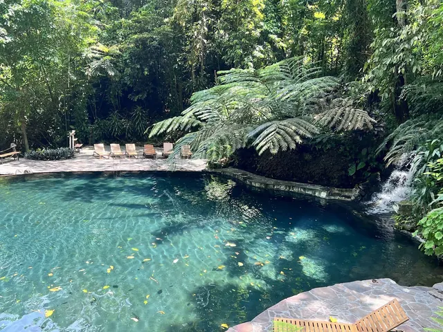 Waterfall flowing into a natural stone pool with sunlit lounge chairs and large palm leaves at Hidden Valley Springs.