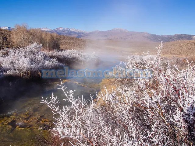 Fales Hot Springs
