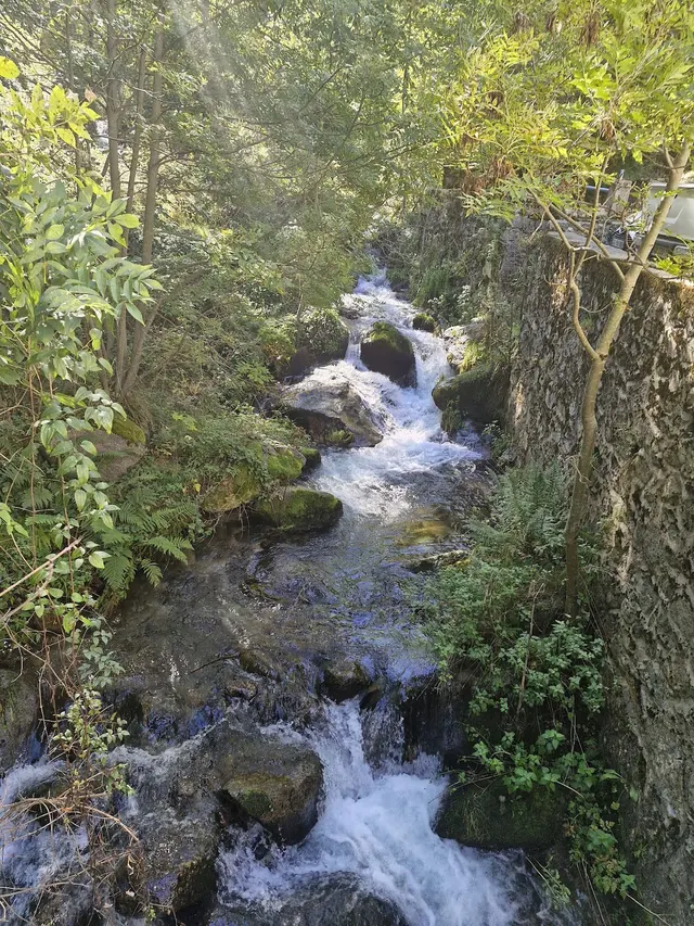 Mountain stream rushing over rocks with dense green foliage and stone walls along the sides near Fontpédrouse in southern France.