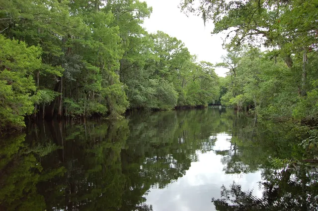 Fanning Springs FL 2014 - 006