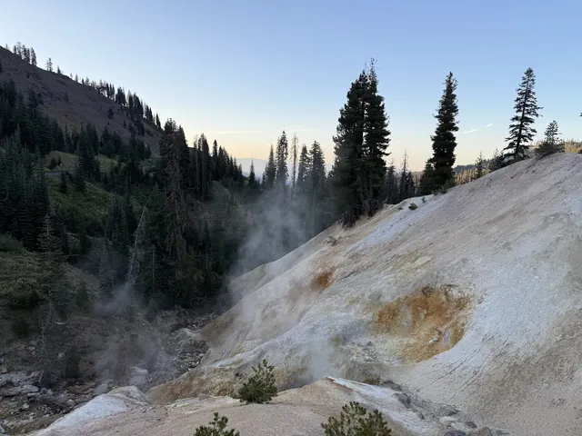 Steaming natural hillside vents with pine trees visible on the slopes near Sulphur Works hot spring in California.