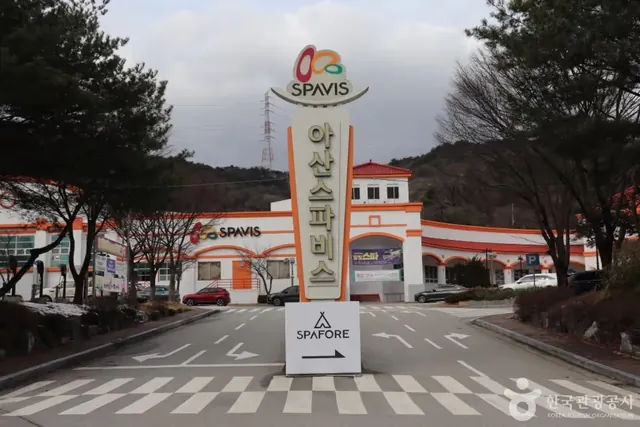 Asan Spavis