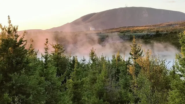 Geothermal Goldfish Pond, Iceland.