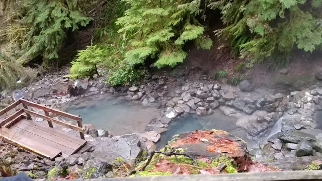 Natural hot spring pools with light steam rising surrounded by rocks and green foliage near Blue River Oregon boardwalk.