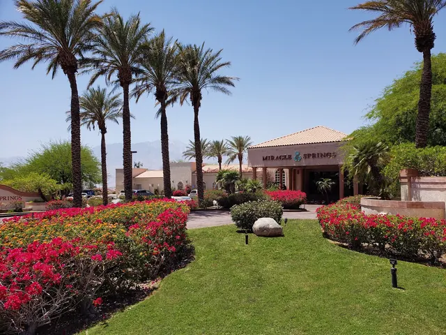 Miracle Springs entrance framed by vibrant flower beds and tall palm trees with mountain views under a clear blue sky in California.
