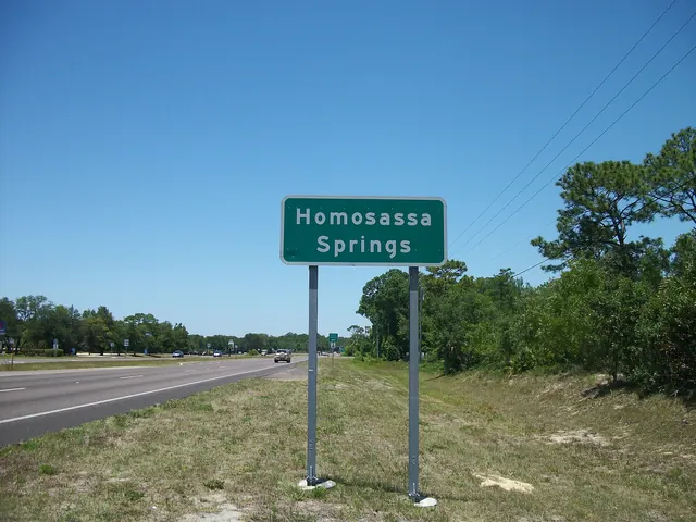 NB US 19-98 Homosassa Springs FL Sign