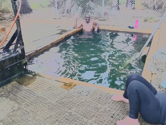 Hot Springs Long Term Visitor Area