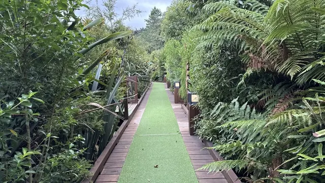 Narrow boardwalk lined with green plants and ferns on both sides providing access through forest area around Secret Spot Hot Tubs in Rotoru.