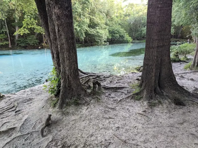Gilchrist Blue Springs, Florida.