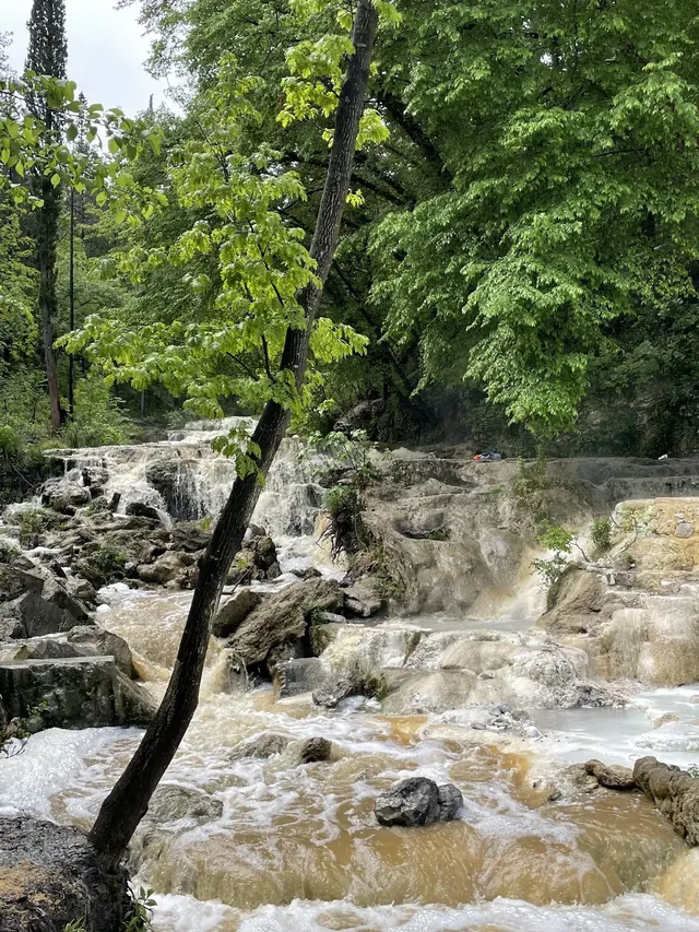 Steam rises from flowing hot spring water across rocky terraces amid lush green trees at Fosso Bianco Italy.