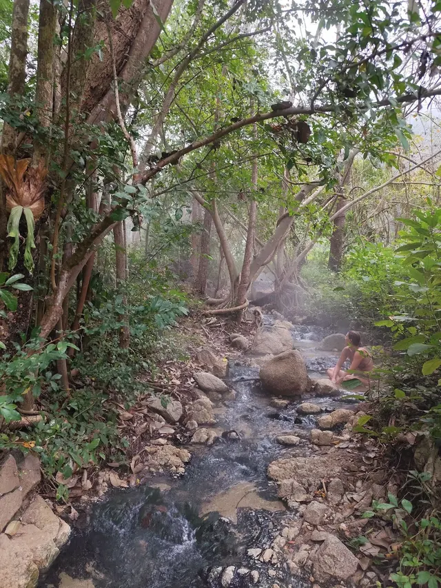 A person sitting beside a rocky natural hot spring stream enveloped by lush green trees in the Tha Pai Hot Spring area.