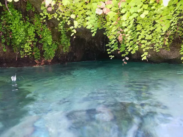 Gandy Warm Springs, Utah.