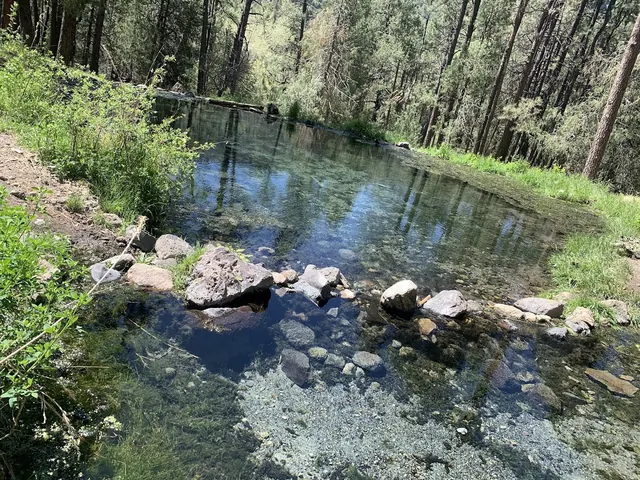 Two connected clear mineral pools separated by rocks with green plants and pine trees surrounding the area at McCauley Warm Springs near Je.