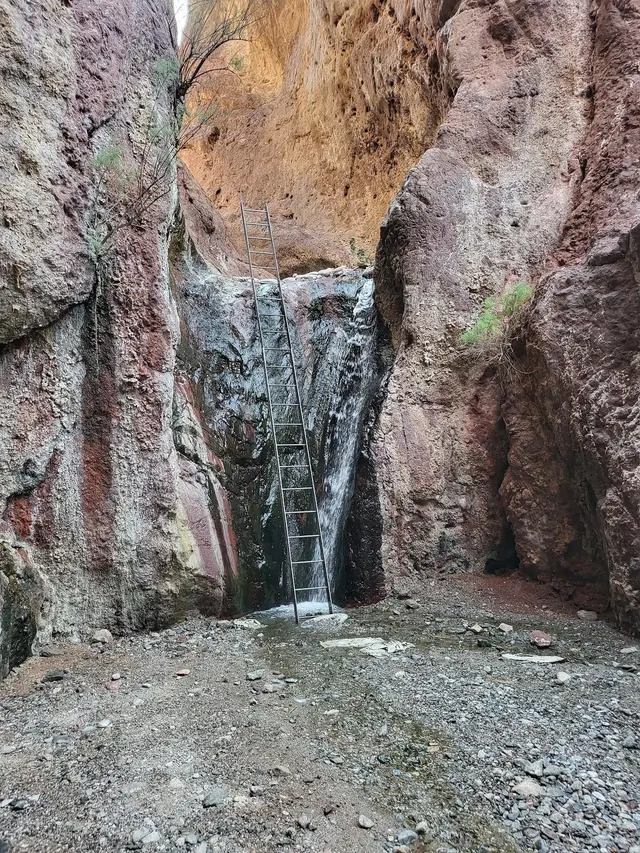 A rugged canyon wall with a metal ladder next to a narrow waterfall flowing into the rocky ground at Boy Scout Hot Springs, Arizona.