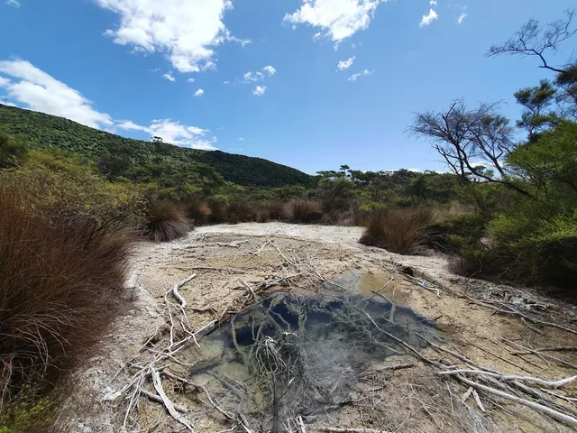 Small steaming natural hot spring pool with clear water and surrounding dried branches in a green hilly landscape at Tokaanu Thermal Pools.