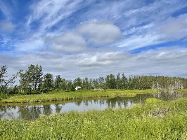 Pilgrim Hot Springs, Alaska.