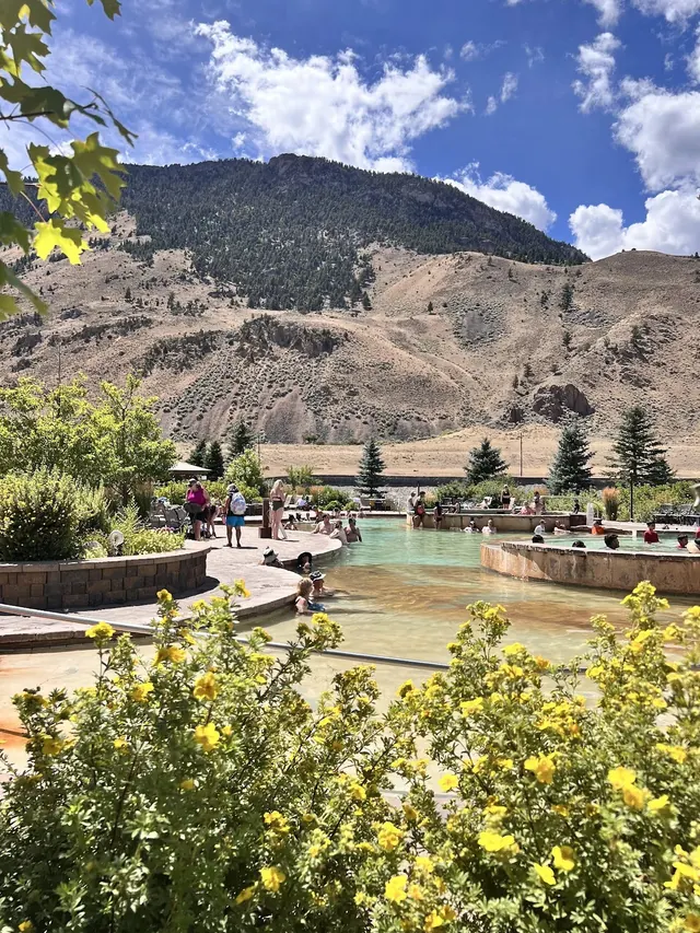 Yellow flowers and green shrubs foreground with people enjoying warm outdoor pools and tall mountains under blue sky at Yellowstone Hot Spr.