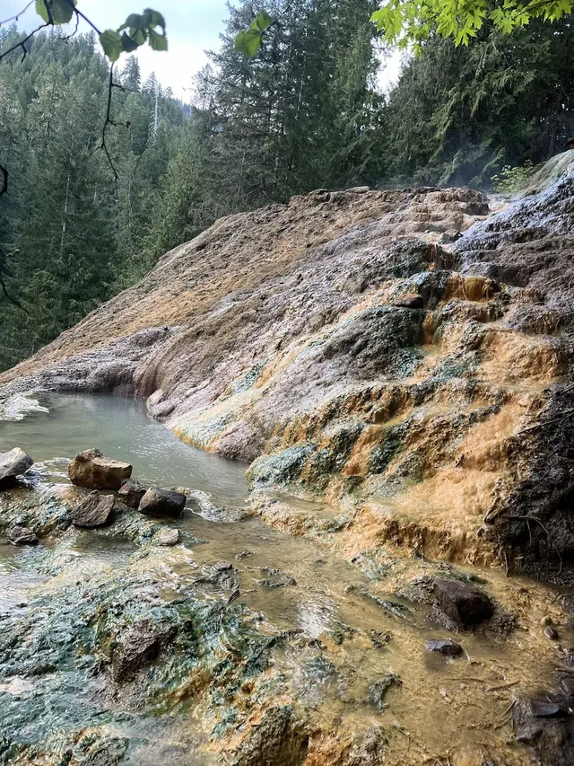 Flowing mineral water creating layered natural pools over rocky terrain at Umpqua Hot Springs with dense evergreen trees nearby.