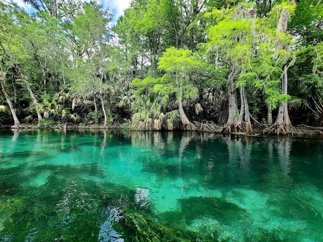 Silver Springs, Florida.