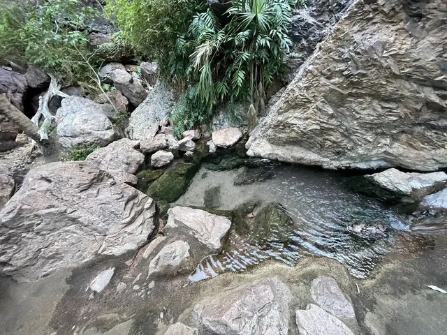 Rock-bordered hot spring pool with flowing water and palm trees creating a shaded area at Zebedee Springs.