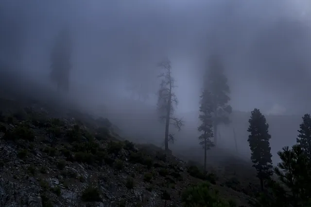 20190811-FS-Boise NF-NL-Kirkham Fog-01 (48937946322)
