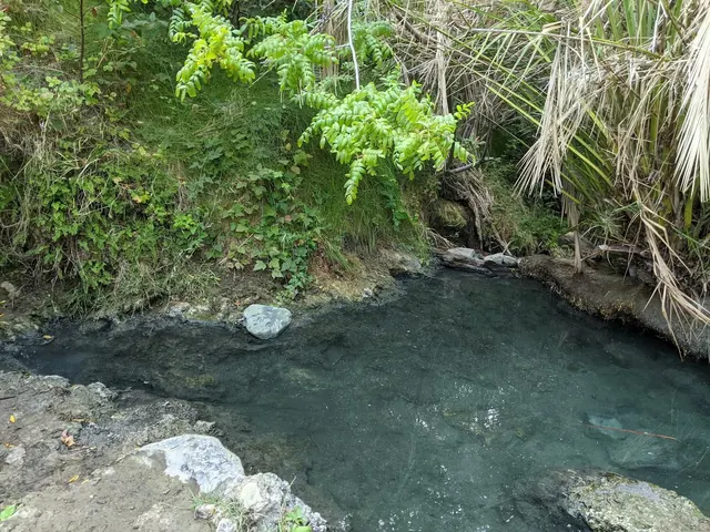 Clear water in a natural mineral hot spring pool at Gaviota State Park Hot Springs with overhanging leafy branches and rocks near Gaviota C.
