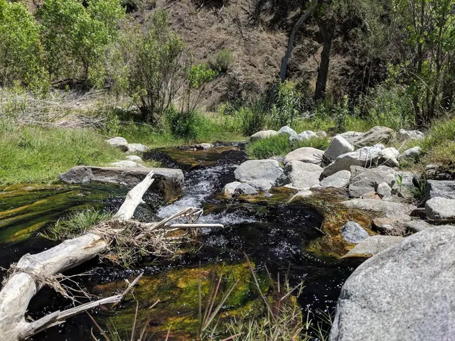 Sespe Hot Springs